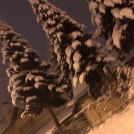 Apartman Milica Kremna Esterno foto