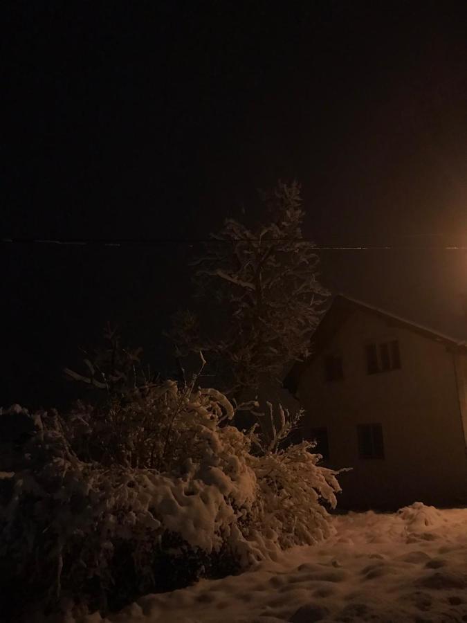 Apartman Milica Kremna Esterno foto